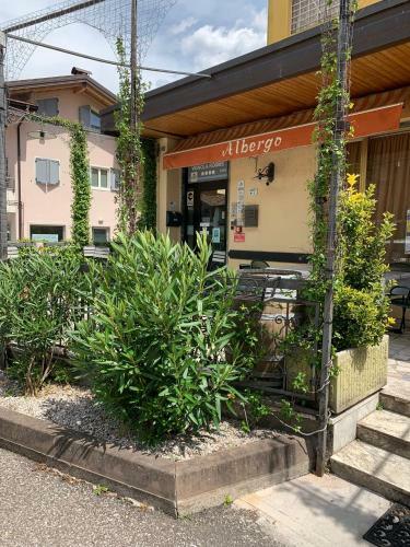 Hostal Affittacamere Vignola