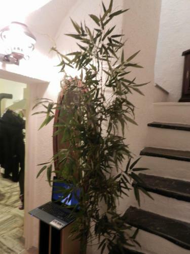 Apartamento Ca Amabile