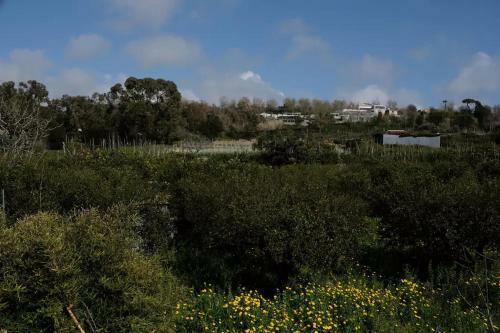 Bed & Breakfast Lemontree House Bacoli