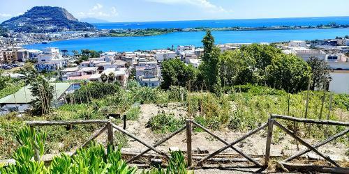 Apartamento Appartamento Con Incantevole Panorama
