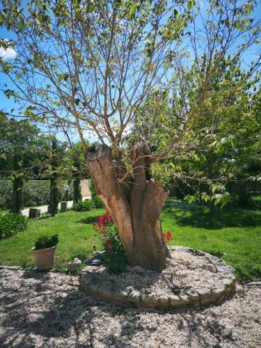 Bed & Breakfast Le Mas Des Cosme