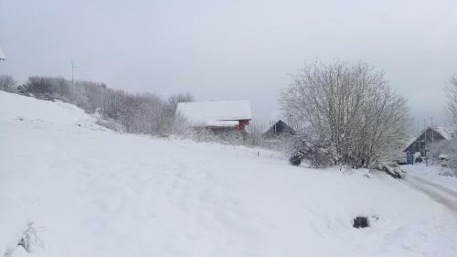 Apartamento Chalet Winterberg