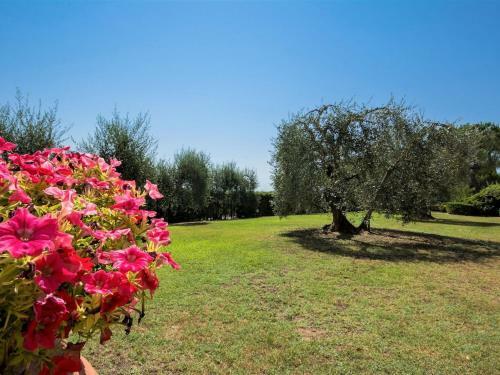 Stone Farmhouse In Castelfiorentino With Swimming Pool