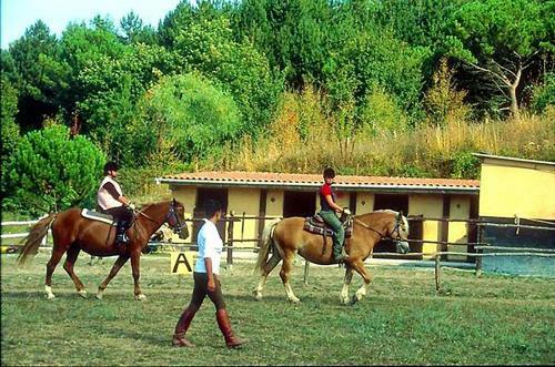 Hotel Toscana Wellness Resort