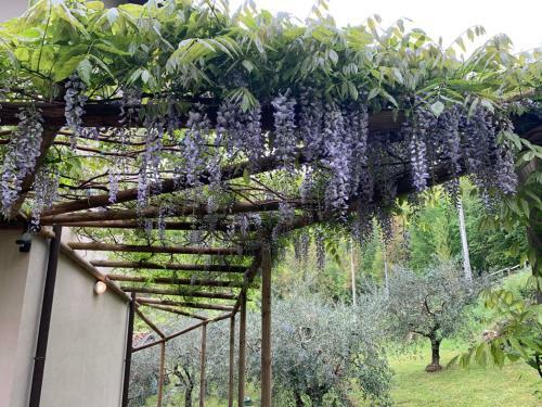 Private Tuscan Estate