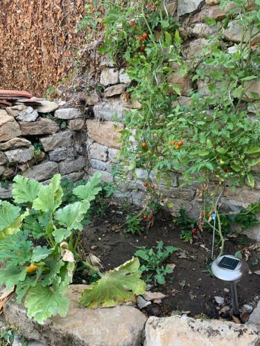 Apartamento L'arbois 1876-la Verri�re-