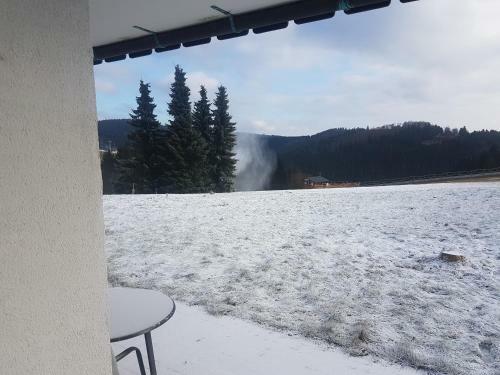 Apartamento Appartement Neuastenberg
