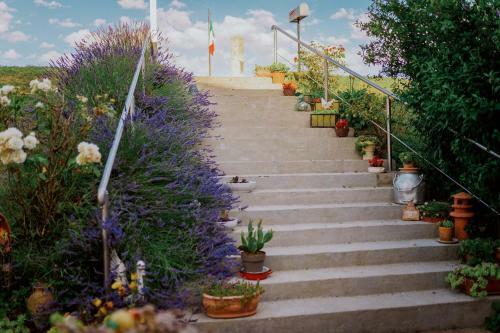 Bed & Breakfast Casa Pol�