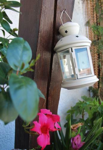 B&B Poggio Di Balestrino