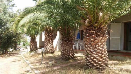 Villa Del Palmeto