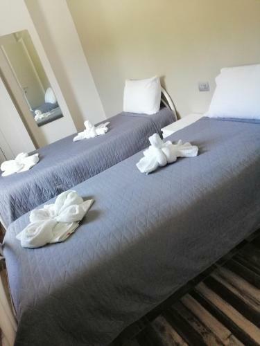 Bed And Breakfast Mezzanotte