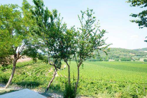 Hostal Ai Filari