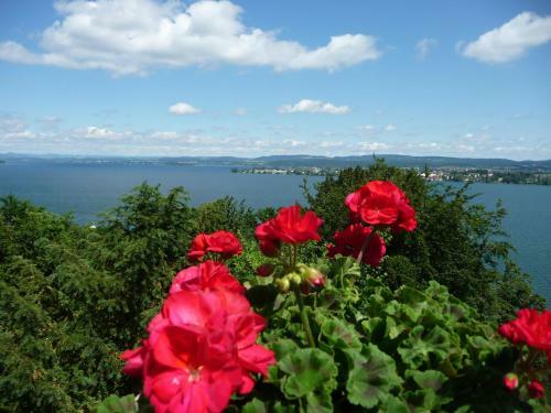 Apartamento Ferienwohnung Neubacher