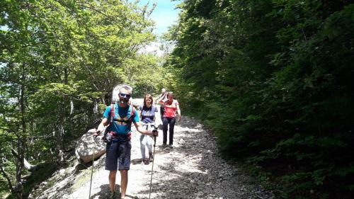 Hostal Natour L'ostello Per I Camminatori