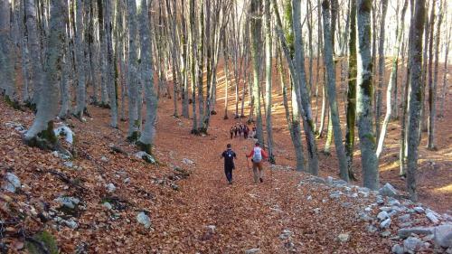 Hostal Natour L'ostello Per I Camminatori