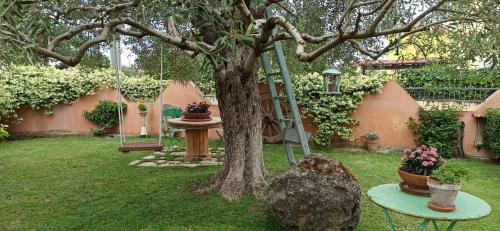 B&B Casa Piras
