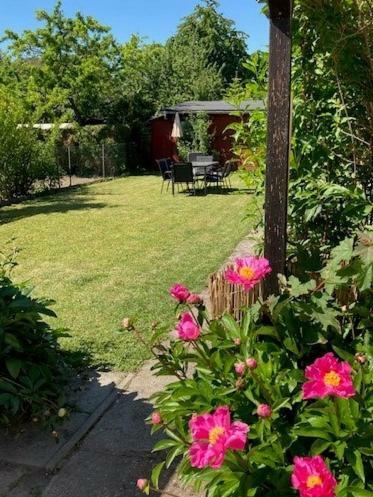 Apartamento Rheingau Quartier