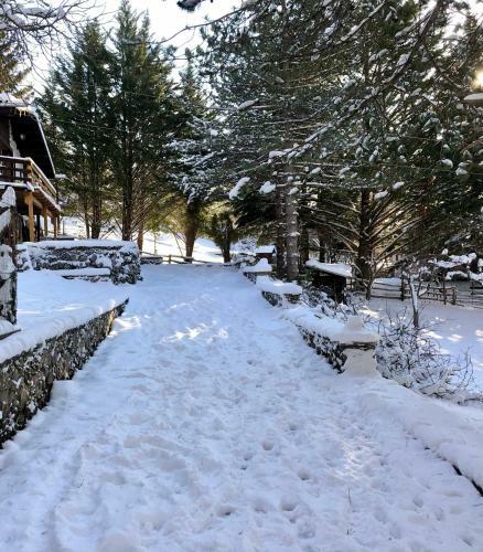Hostal Affittacamere 7nani