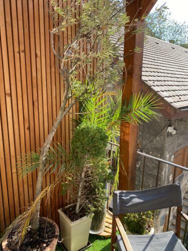 Apartamento Charmant Appartement Annecy