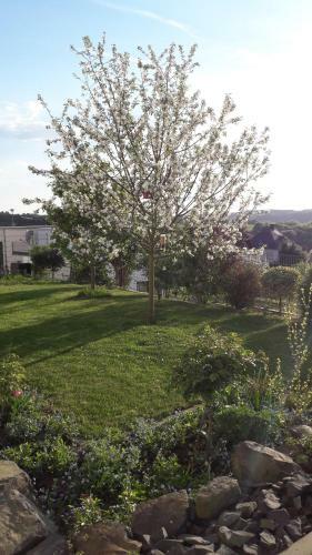 Apartamento Ferienwohnung Sayntalblick