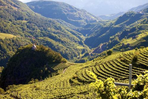 B&B Cuore Trentino