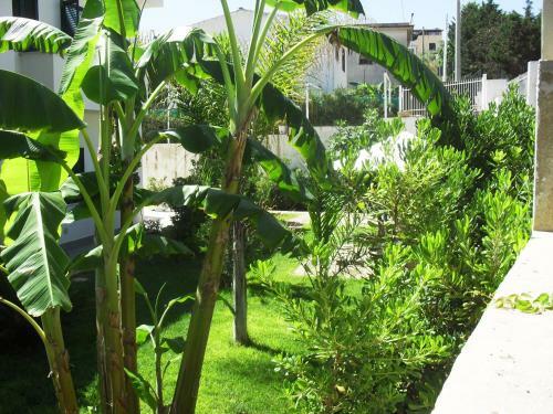 La Casa Del Marinaio In Spiaggia