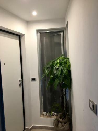 Apartamento B&B Casa Amalia