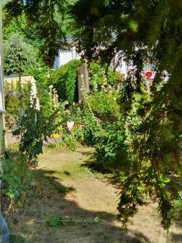 Apartamento Ferienwohnung Ole