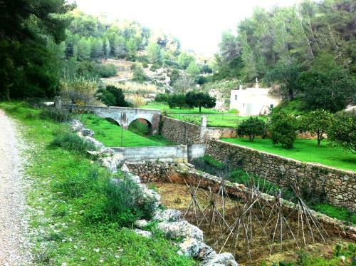 B&B En Finca Ecol�gica Ibicenca