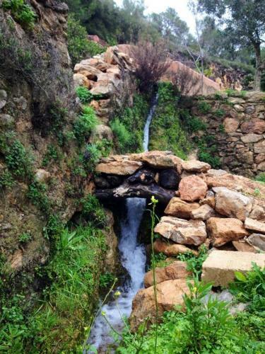 B&B En Finca Ecol�gica Ibicenca