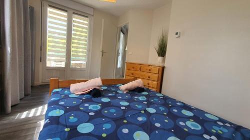 Apartamento L'aliz�e