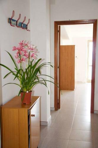 Apartamento Comfort In Riva Al Mare