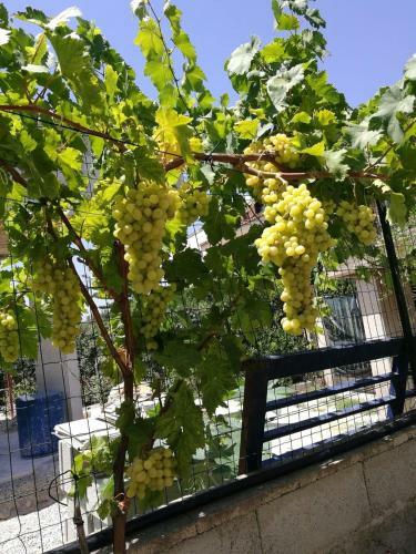 Apartamento Casa �bola