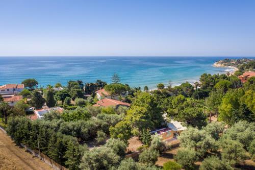 Paradiso Del Mare