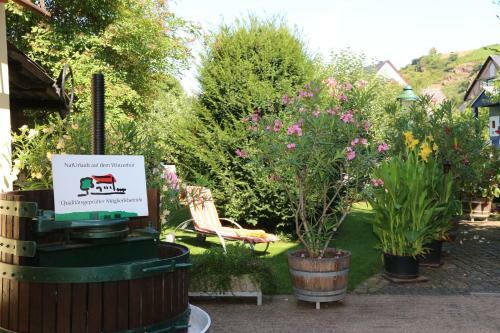 Hostal Ferienweingut Villa Hausmann