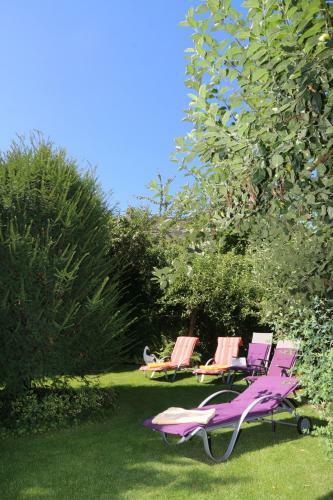Hostal Ferienweingut Villa Hausmann