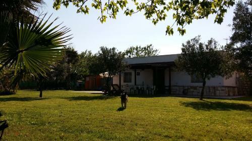 Villa Sole A 50 M Dalla Spiaggia