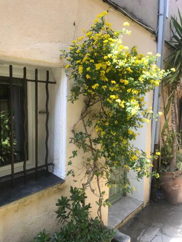 Artistic Antibes Apartment