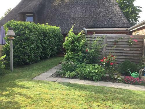 Apartamento Erholung Unter Reet