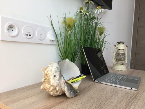 Apartamento Le Vilmorin- Juan Les Pins