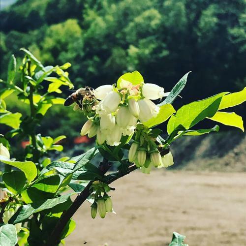 B&B Valtil�
