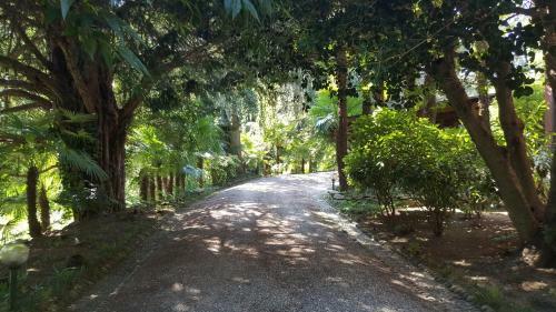 Bed & Breakfast Villa Magnolia Lago Maggiore
