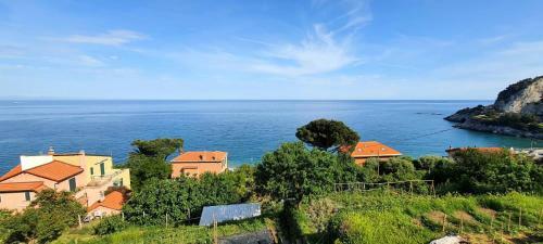 Apartamento Villa Mimosa #bluchalet