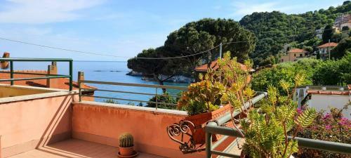Apartamento Villa Mimosa #bluchalet