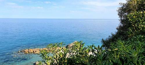 Apartamento Villa Mimosa #bluchalet