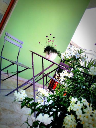 B&B L'angolo Fiorito