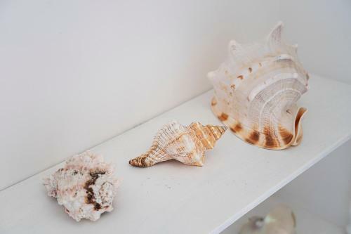 Apartamento La Musa
