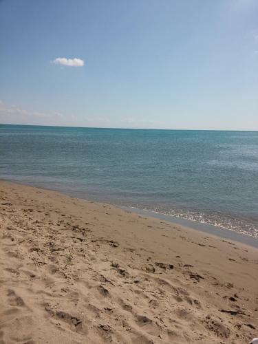 Torre Camarda