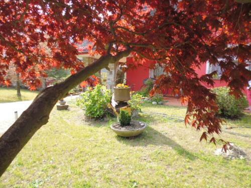 Bed & Breakfast A Casa Di Lara