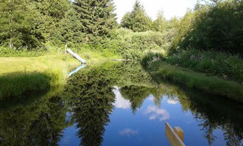 Apartamento Ferienparadies Wiesenbauer